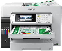 Driver til Epson EcoTank Pro ET-16600